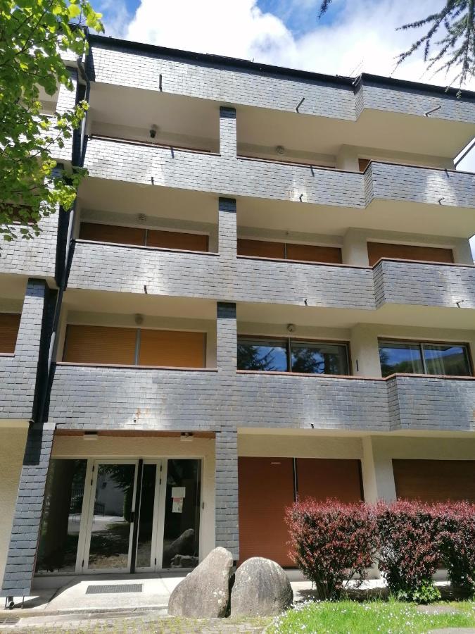 Studio 4 Personnes Saint-Lary-Soulan Εξωτερικό φωτογραφία
